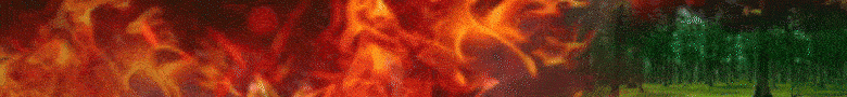 Banner publicitario